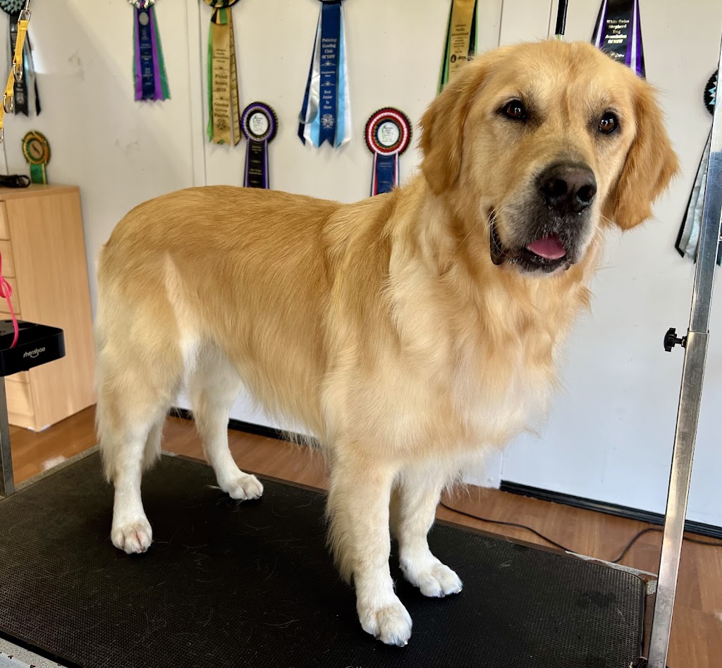 The Luxe Dog Grooming Salon | Remembrance Dr, Bargo NSW 2574, Australia | Phone: 0494 312 070