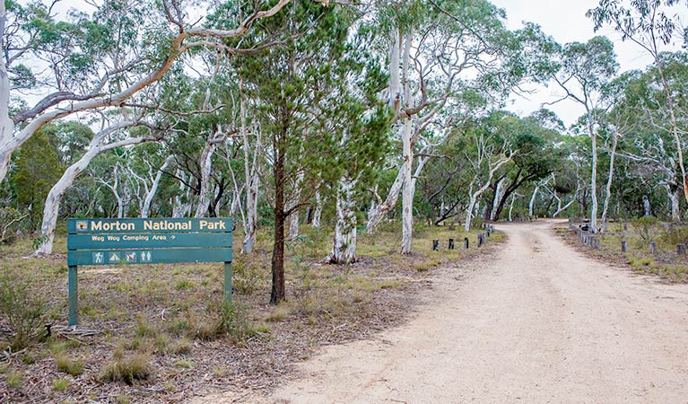 Wog Wog campground | campground | Scenic Rim Walking Track, Wog Wog NSW 2622, Australia | 0248877270 OR +61 2 4887 7270
