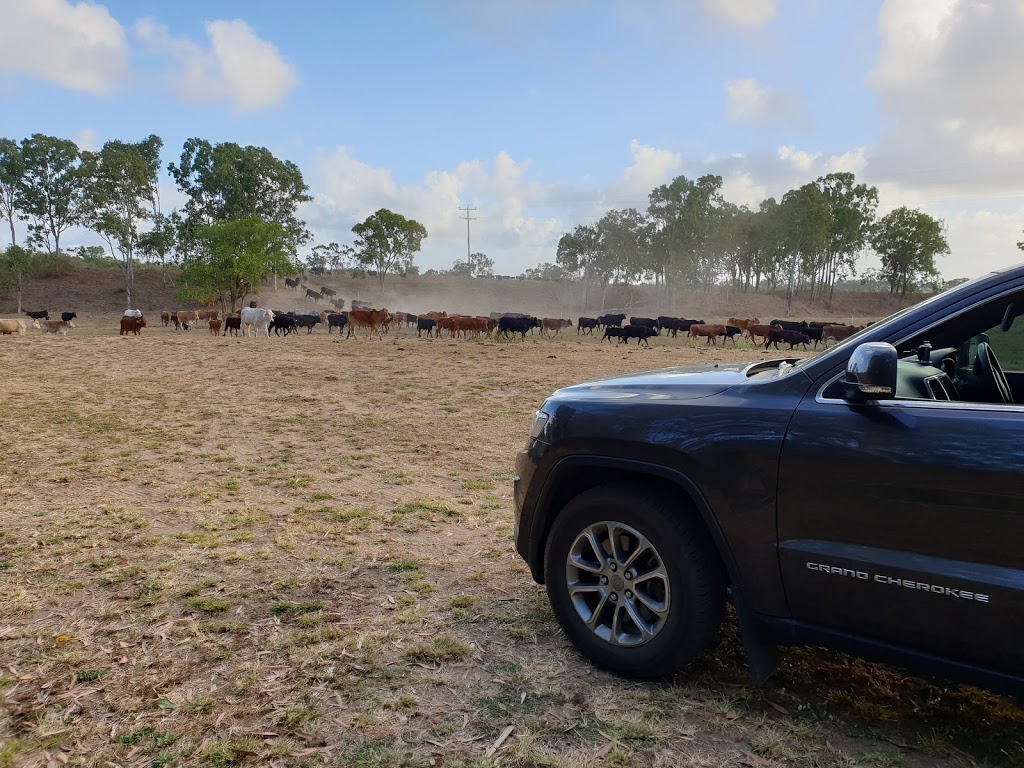 Riverside Bush Camping | lodging | 87160 Bruce Hwy, Ilbilbie QLD 4738, Australia