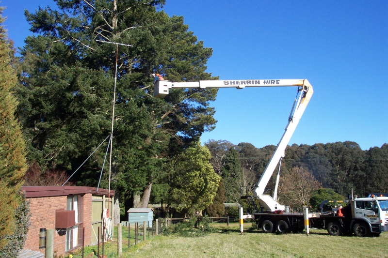 Len McKeown Tree Removal & Arborist |  | 8 Wright St, Mount Evelyn VIC 3796, Australia | 1300135982 OR +61 1300 135 982