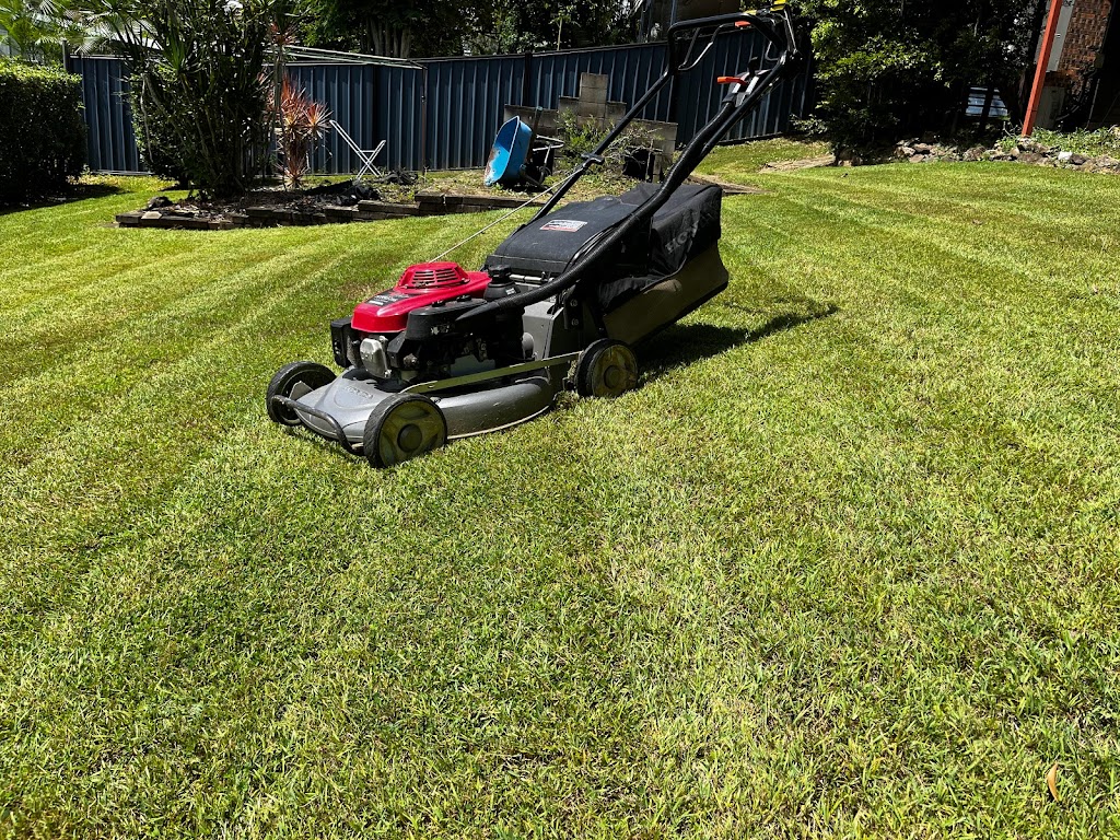 Winning Lawns | 23 Honey Pot Ave, Springfield Lakes QLD 4300, Australia | Phone: 0467 067 535