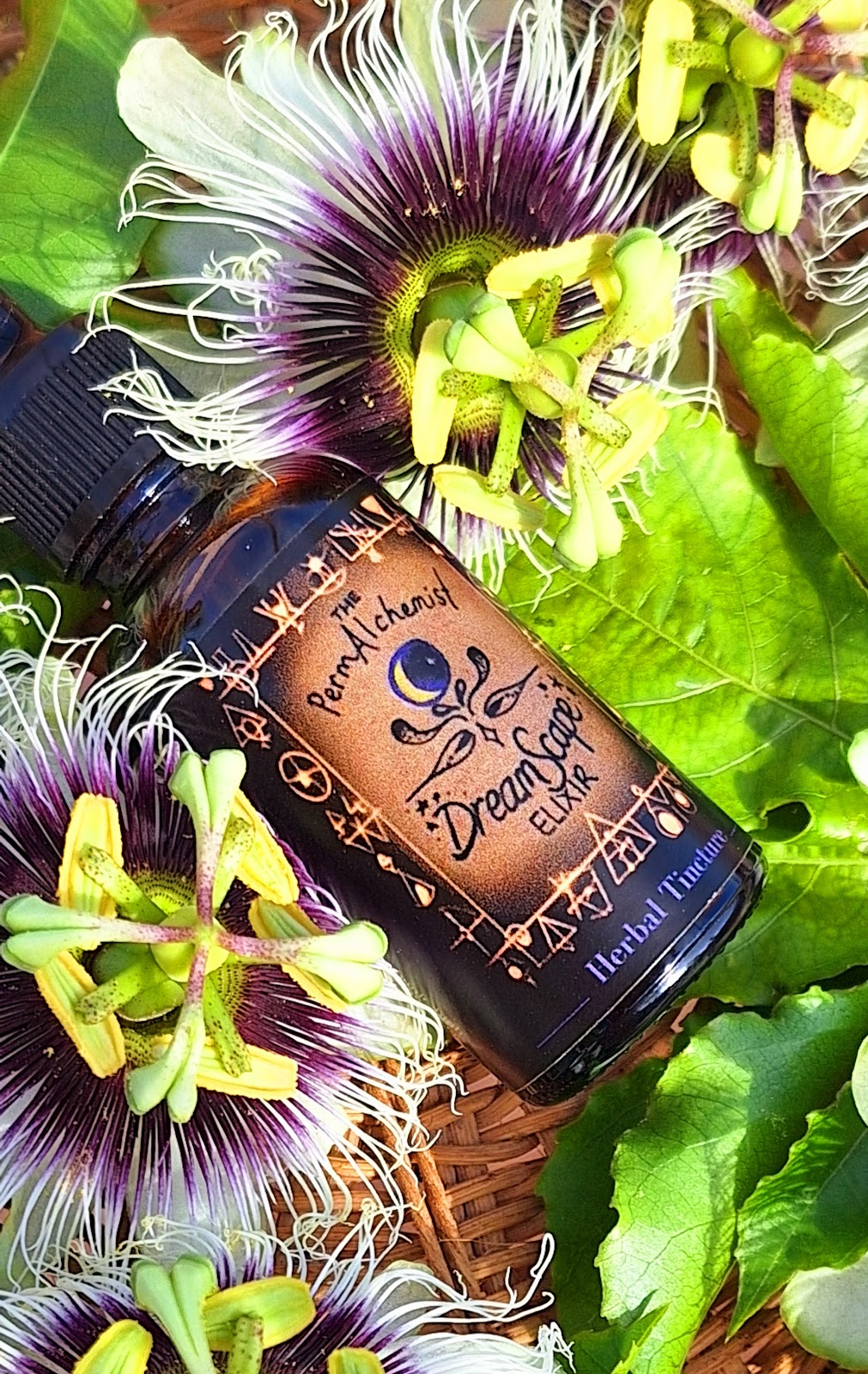 The PermAlchemist | Clayton Rd, Lammermoor QLD 4703, Australia | Phone: 0406 348 132