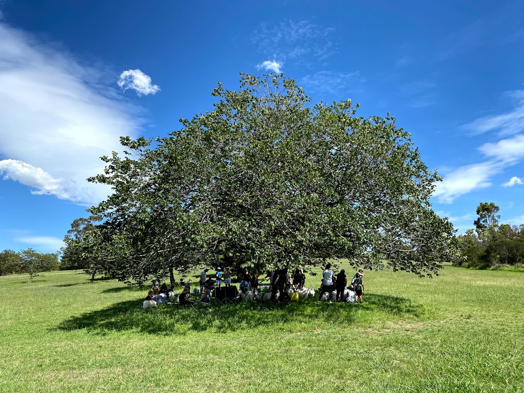 Mimis Memorial Tree | park | Ruffey Park, Templestowe VIC 3106, Australia