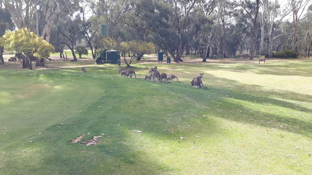 Cohuna Golf Course | Weymouths Rd, Cohuna VIC 3568, Australia | Phone: (03) 5456 2820