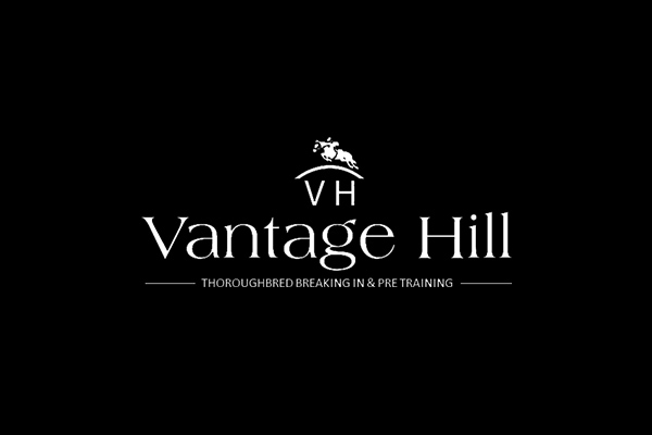 Vantage Hill | 427 Middlebrook Rd, Scone NSW 2337, Australia | Phone: 0427 225 352
