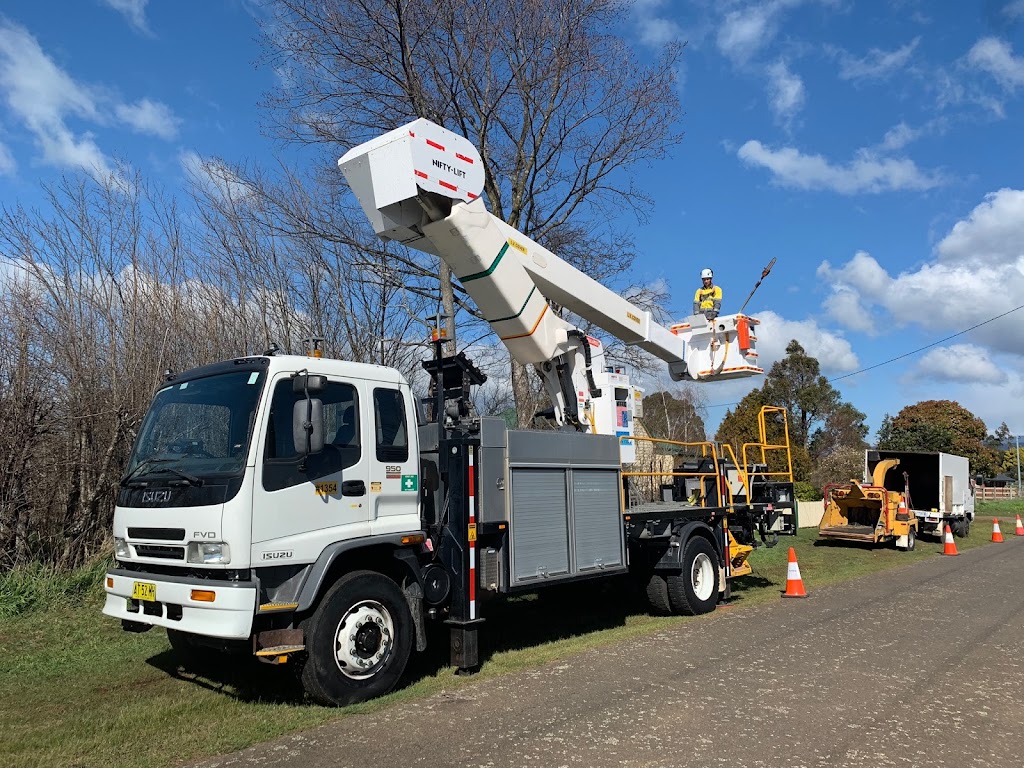 KMS Tree Services | Cotton St, Latrobe TAS 7307, Australia | Phone: 0408 642 728