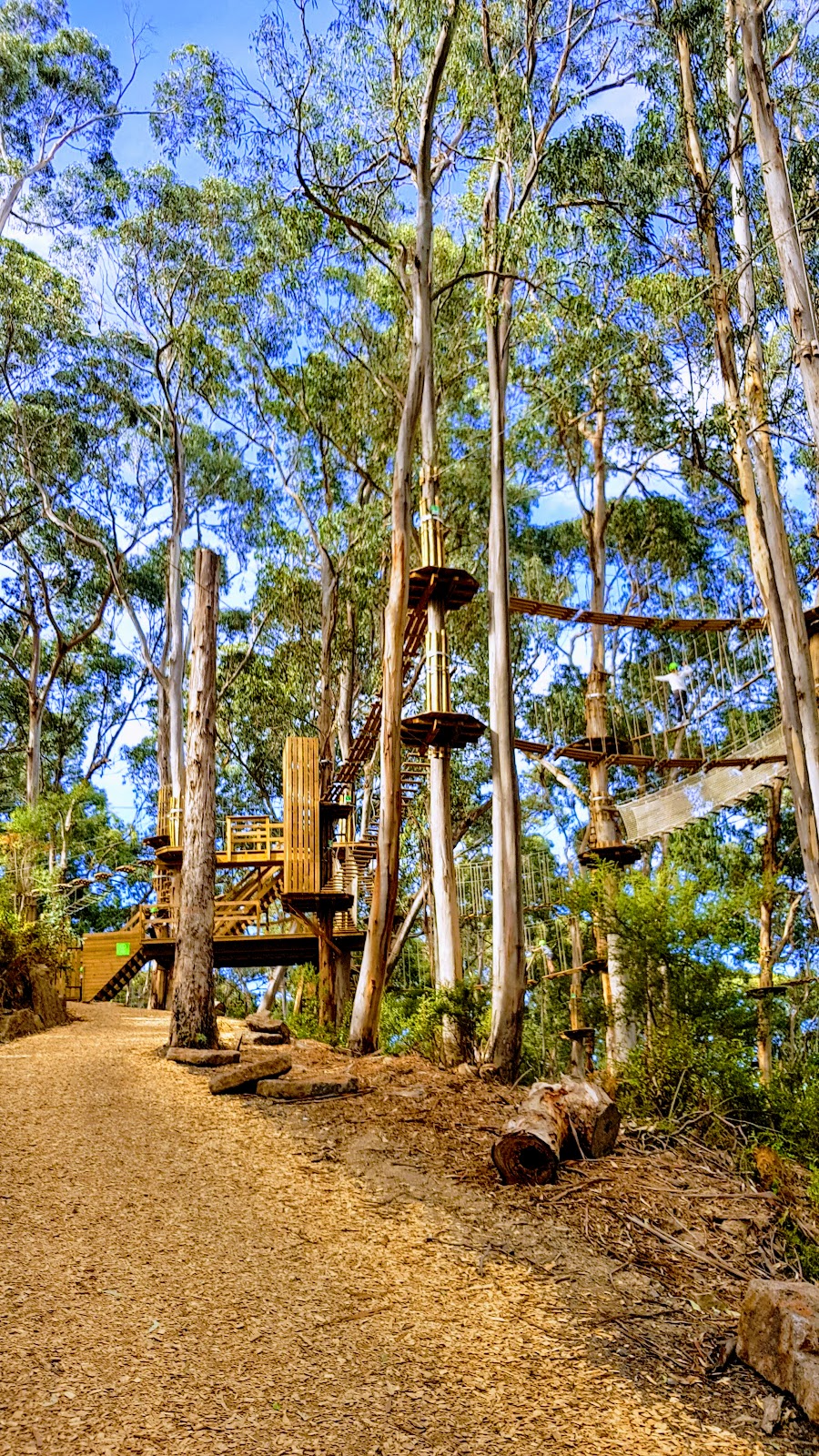 Live Wire Park | amusement park | 180 Erskine Falls Rd, Lorne VIC 3232, Australia | 1300548394 OR +61 1300 548 394