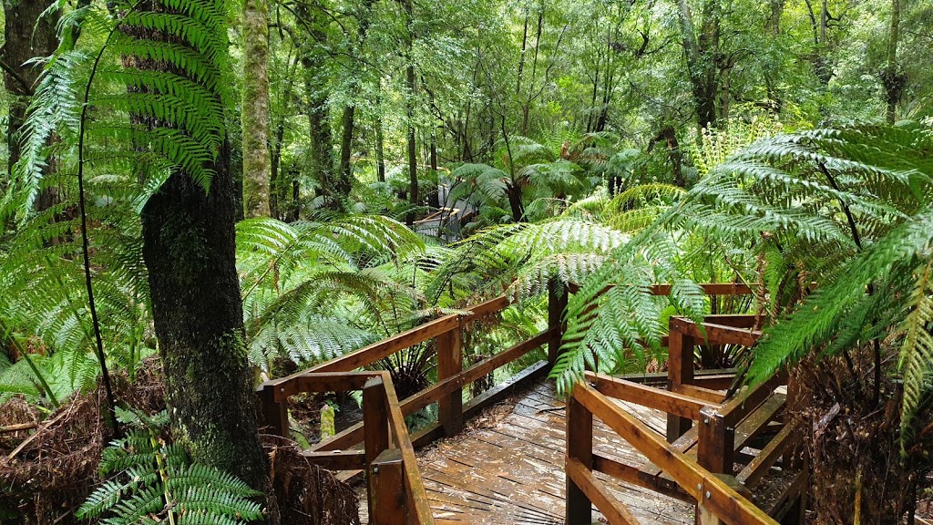 Wirrawilla Rainforest Walk | tourist attraction | Toolangi VIC 3777, Australia | 136186 OR +61 136186