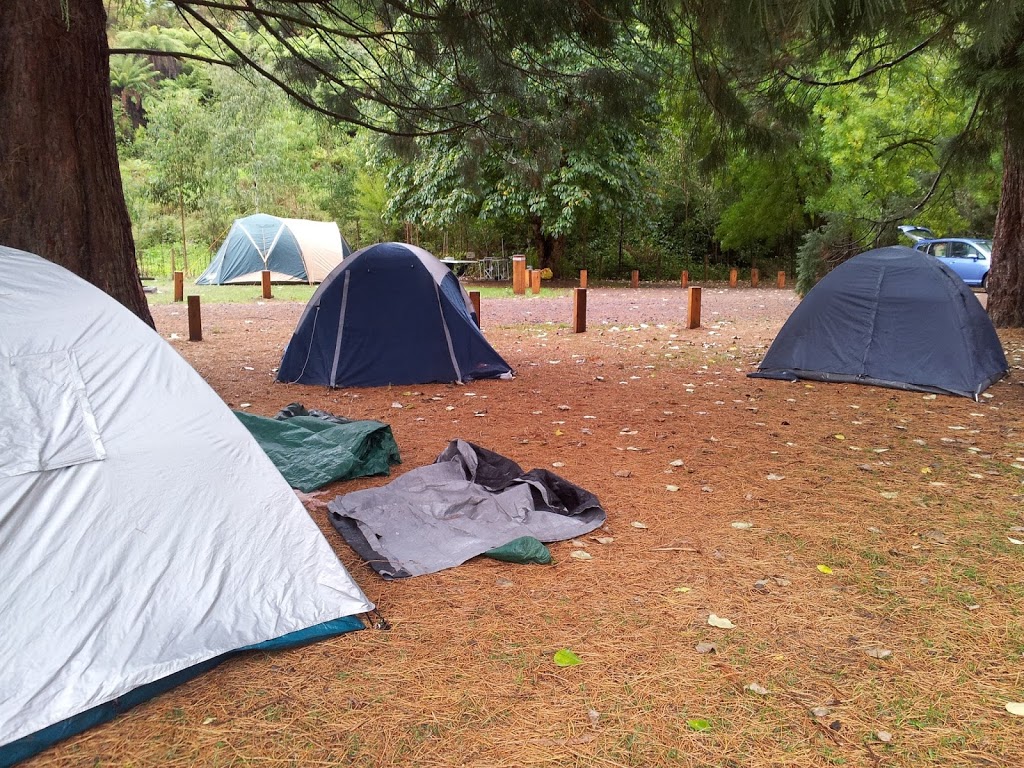 Beauchamp Falls Reserve Camp | campground | Flannagan Rd, Beech Forest VIC 3237, Australia | 131963 OR +61 131963