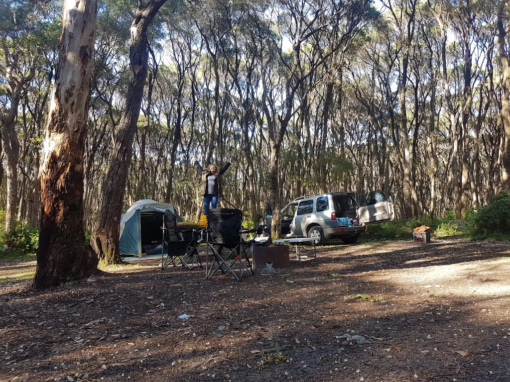 Boranup campground | Boranup WA 6286, Australia