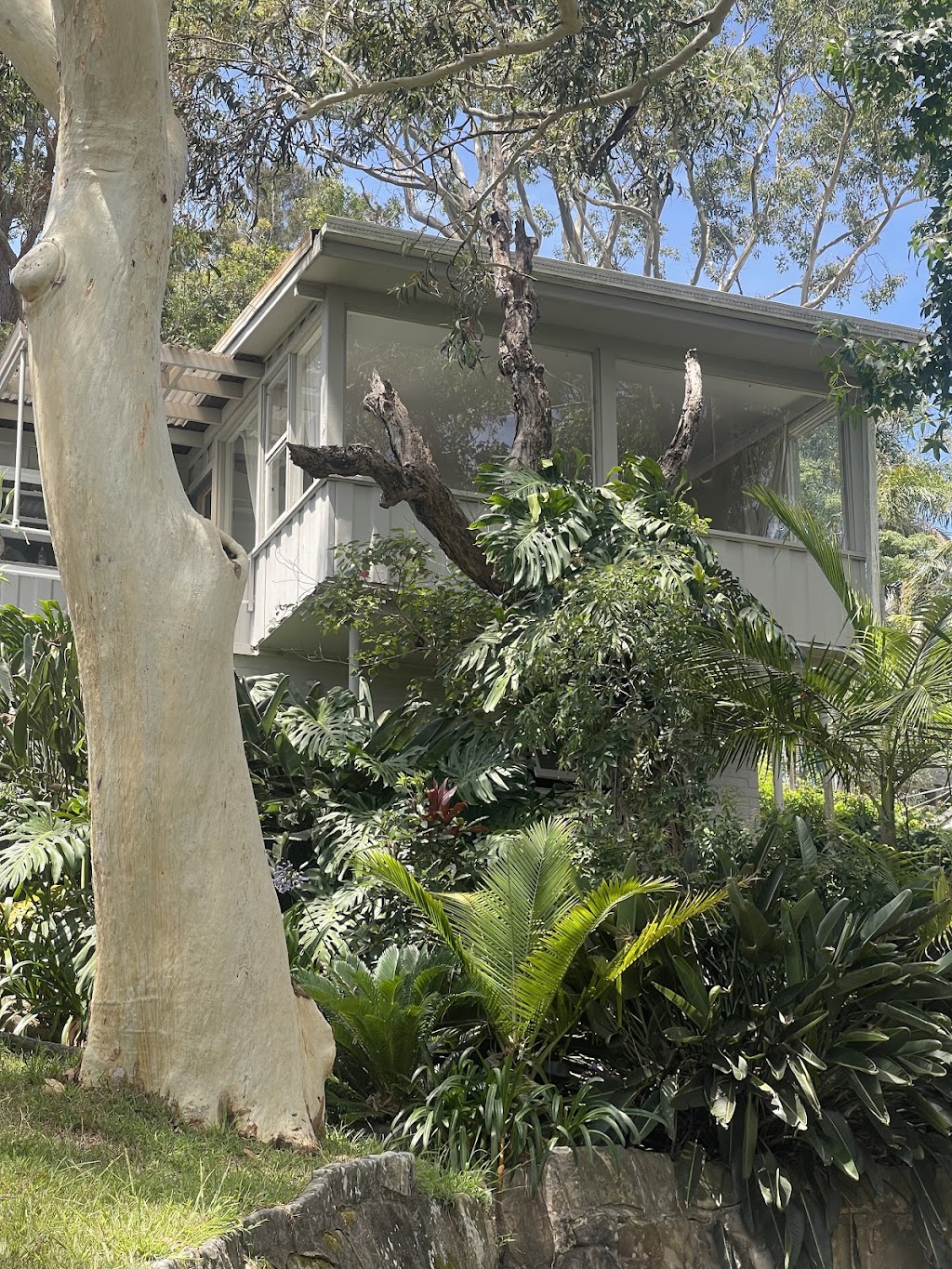 YOGA WITH CLARI | 129 Whale Beach Rd, Avalon Beach NSW 2107, Australia | Phone: 011 15-6890-3351