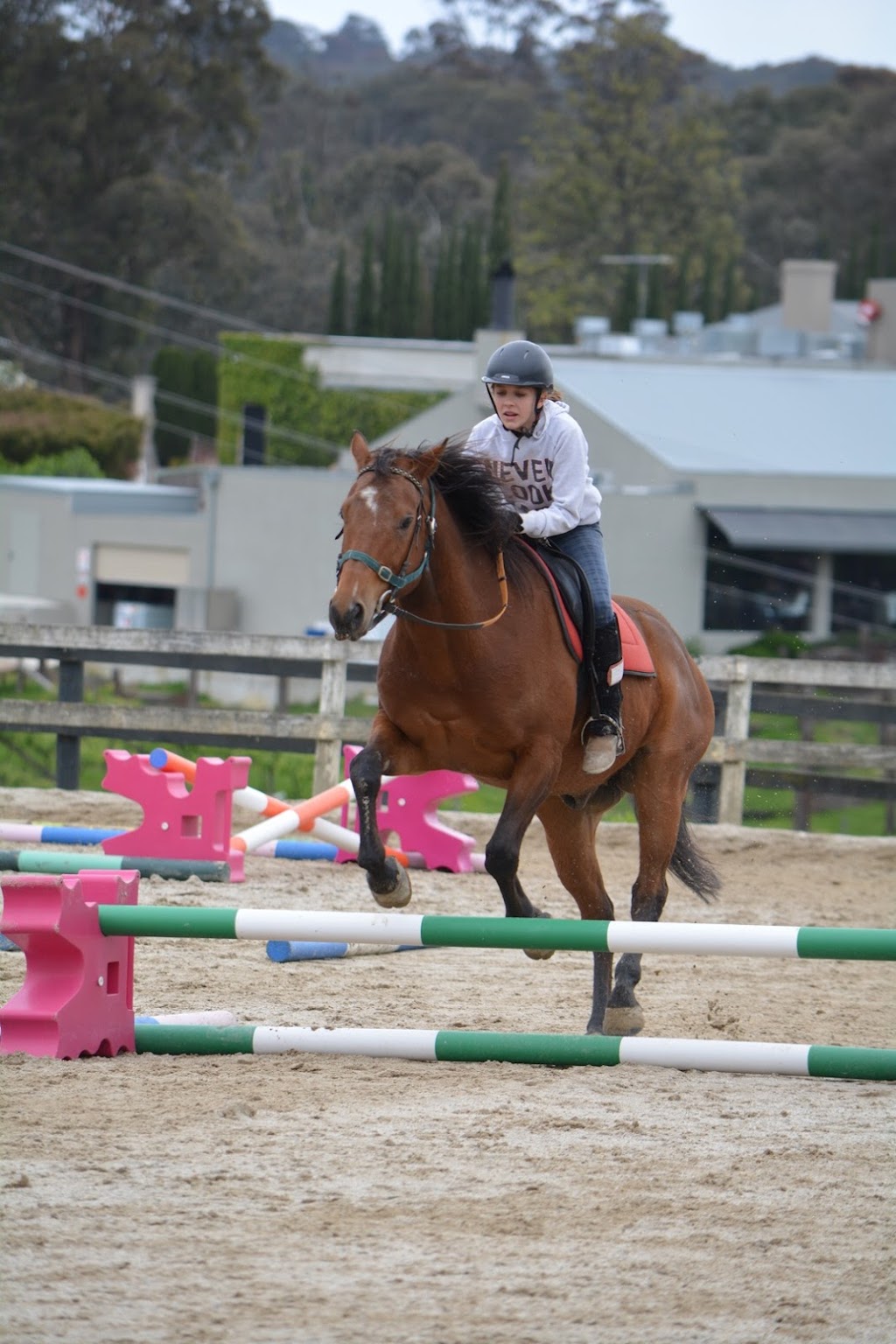 Tandivale Equestrian Centre & Pony Club | 88 Johansons Rd, Warrandyte VIC 3113, Australia | Phone: 0488 244 420