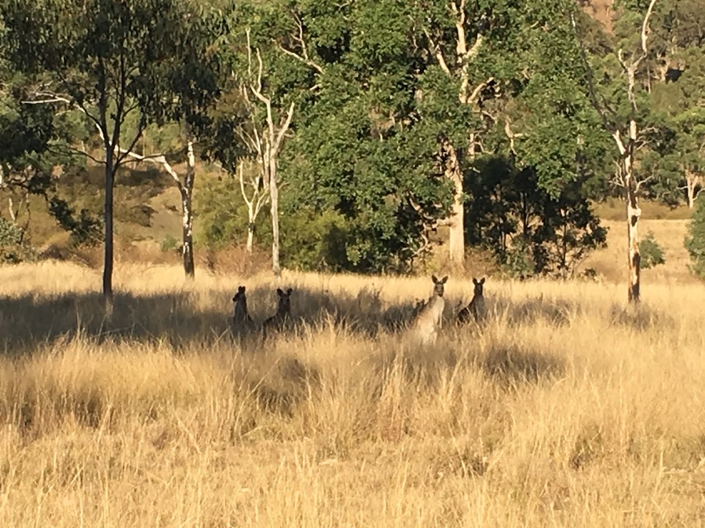 Glen Rock National Park | E Haldon Rd, East Haldon QLD 4343, Australia | Phone: 13 74 68