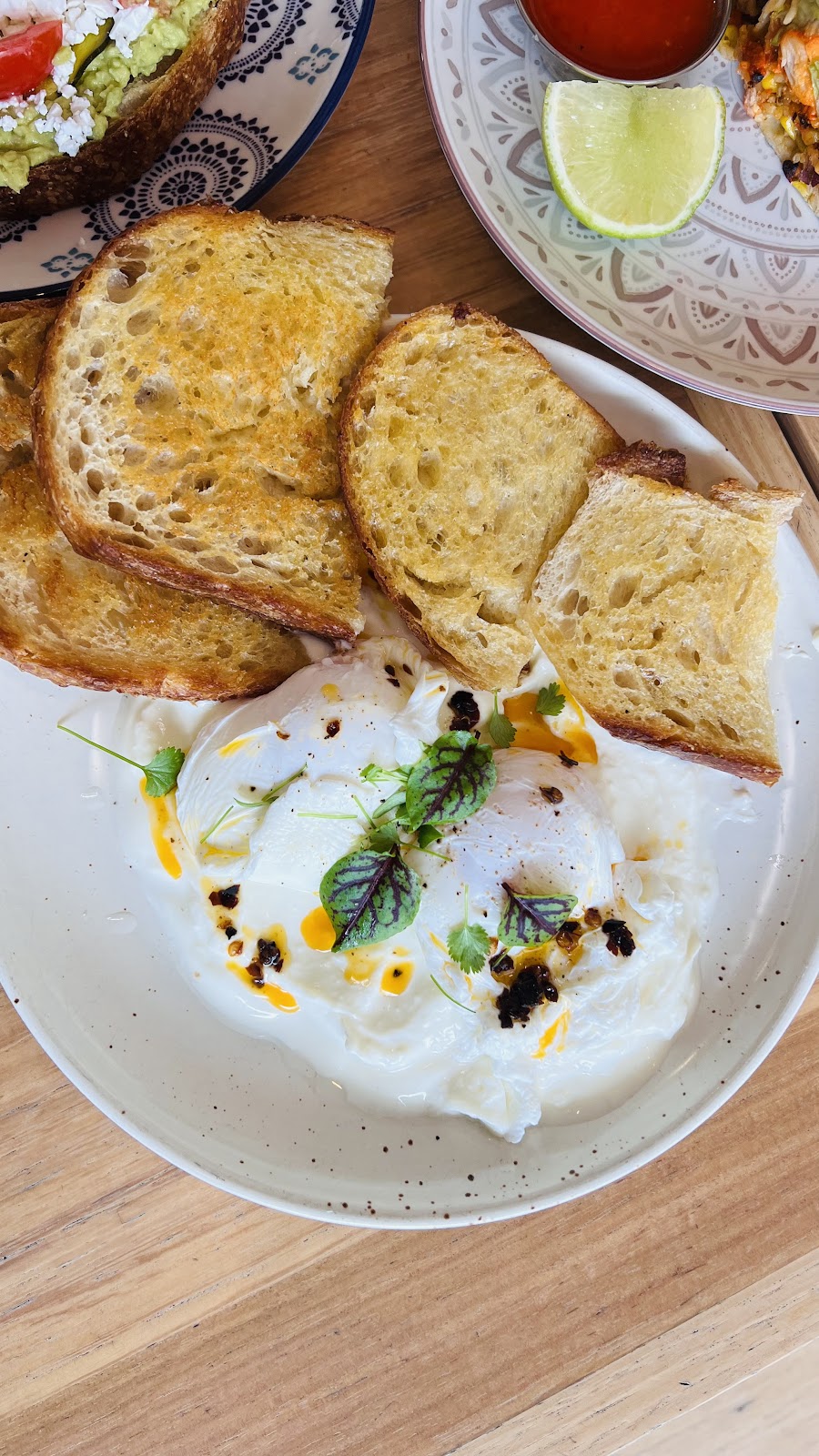 Muskafé | Unit 1/727 New Canterbury Rd, Dulwich Hill NSW 2203, Australia | Phone: 0405 887 786