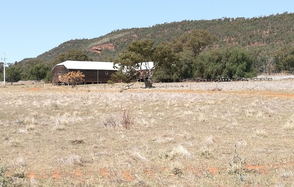 Naradhan Woolshed | Rankin Springs, Naradhan NSW 2669, Australia | Phone: 0428 981 193