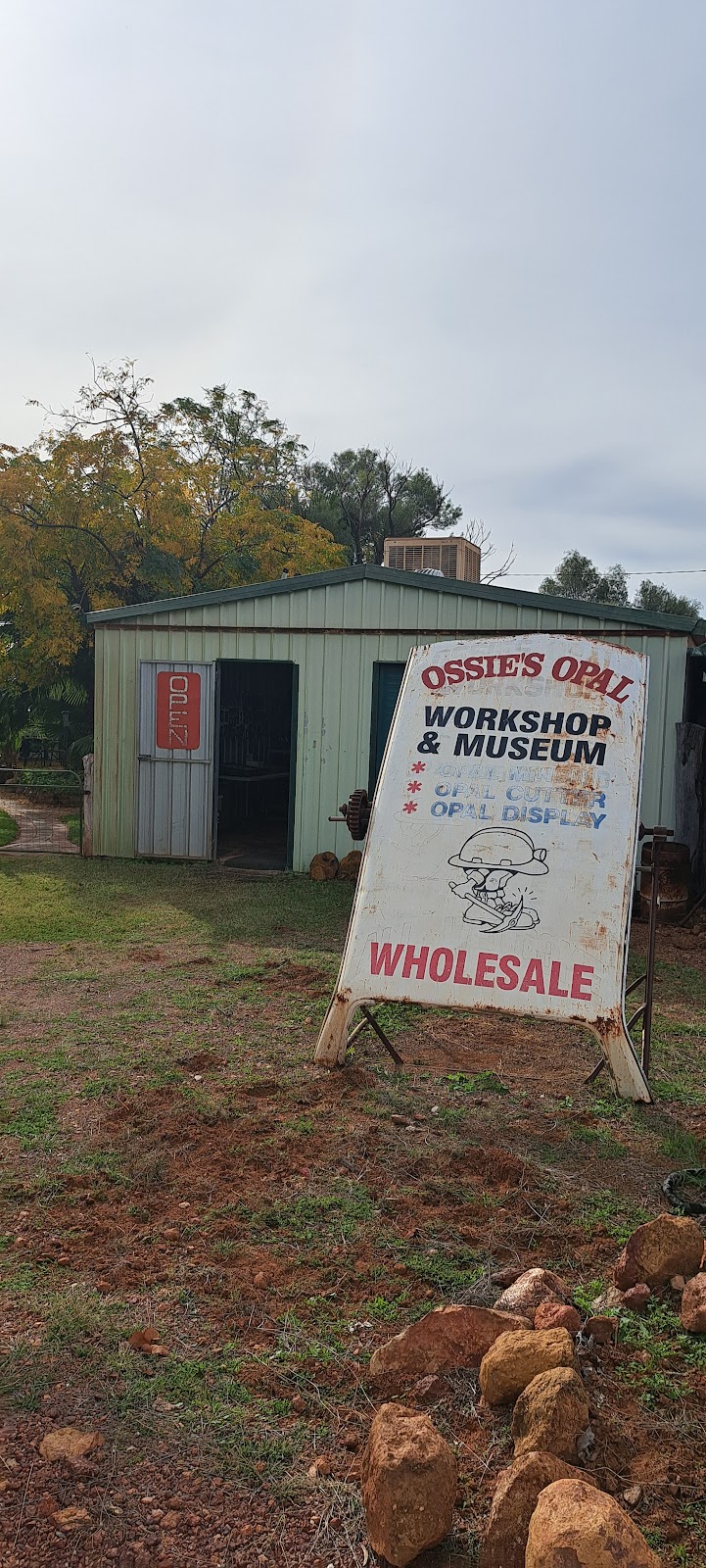 Ossies Opals | 3 Park Ln, Yowah QLD 4490, Australia | Phone: (07) 4655 4711