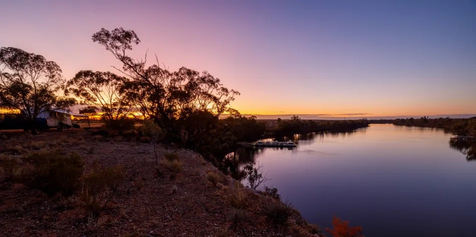 Pindari Park Goats & Farmstay | 9290 Goyder Hwy, Stuart SA 5320, Australia | Phone: 0409 707 436