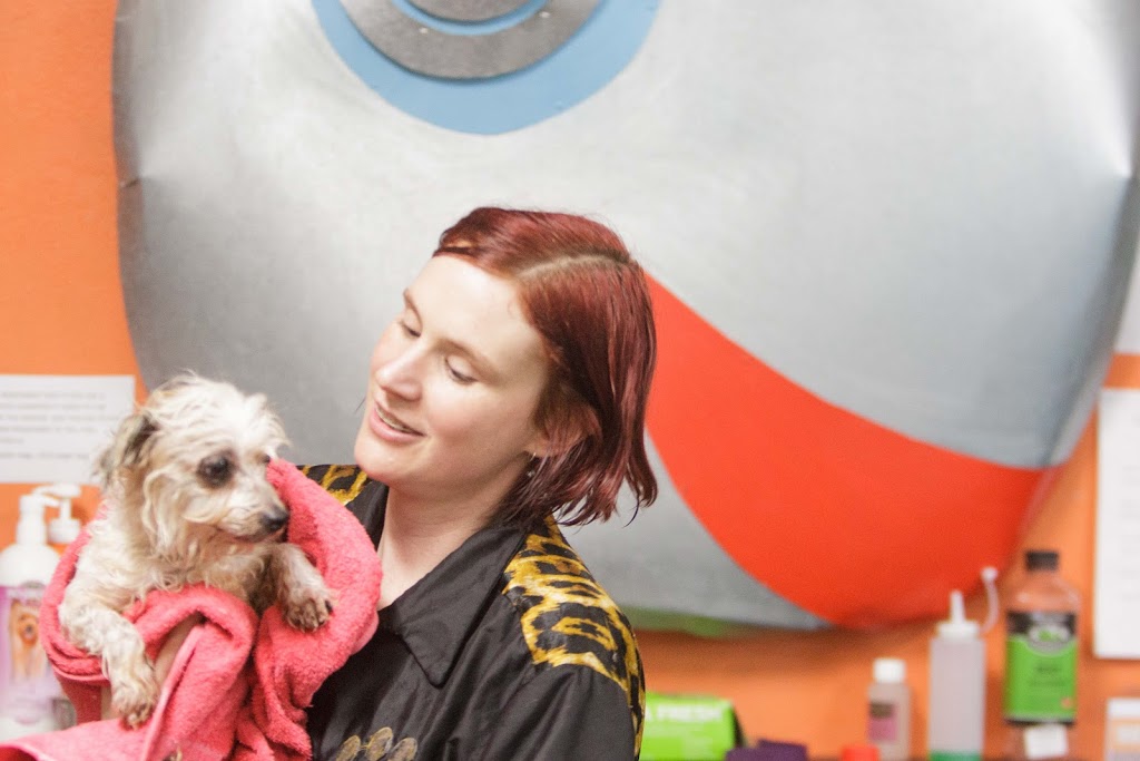 Dog Diversity Dog Grooming School | pet store | l1/142 Victoria St, Seddon VIC 3011, Australia | 0396893647 OR +61 3 9689 3647