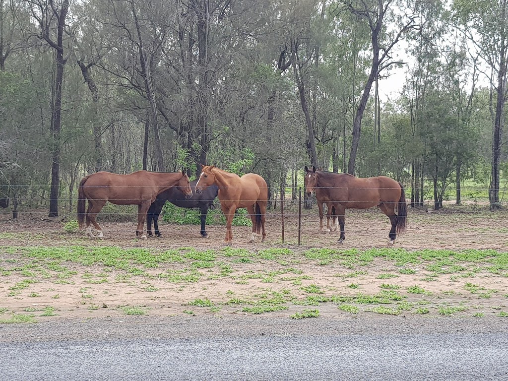 Middlemount Golf and Country Club Inc | 1 Centenary Dr N, Middlemount QLD 4746, Australia | Phone: (07) 4985 7830