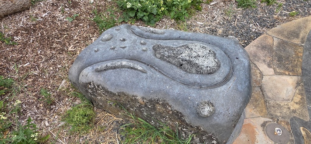 Whale Sun Shadow | Narrawong VIC 3285, Australia | Phone: (08) 8797 8596