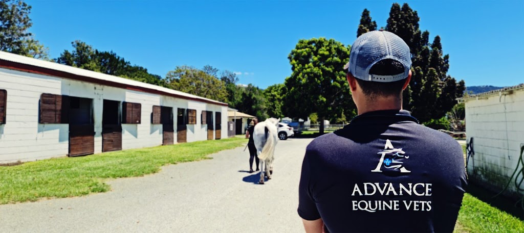 Advance Equine Vets | veterinary care | Riviera Equestrian Centre, 177 Latimers Crossing Rd, Advancetown QLD 4211, Australia | 0488984422 OR +61 488 984 422