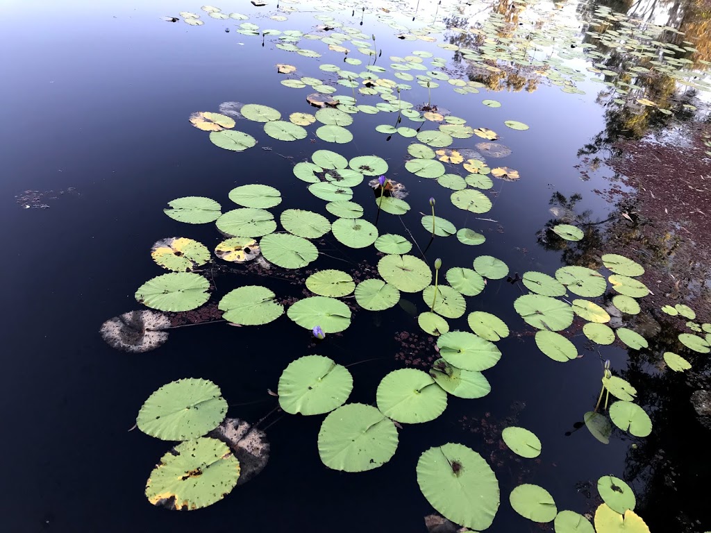 TYTO Wetlands | Ingham QLD 4850, Australia