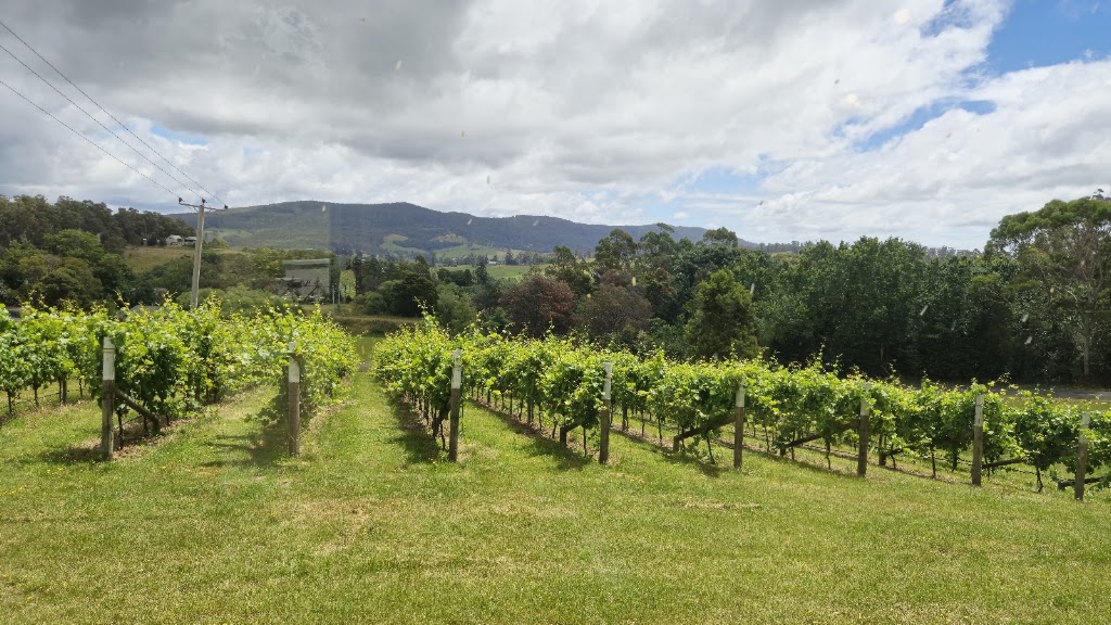 Lalla Colline Vineyard | 361 Lalla Rd, Lalla TAS 7267, Australia | Phone: 0478 550 830