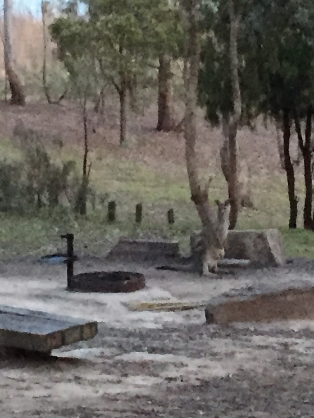 Lakeside Campground, Fraser Block | campground | Lakeside Camping Area, Lakeside Rd, Devils River VIC 3714, Australia