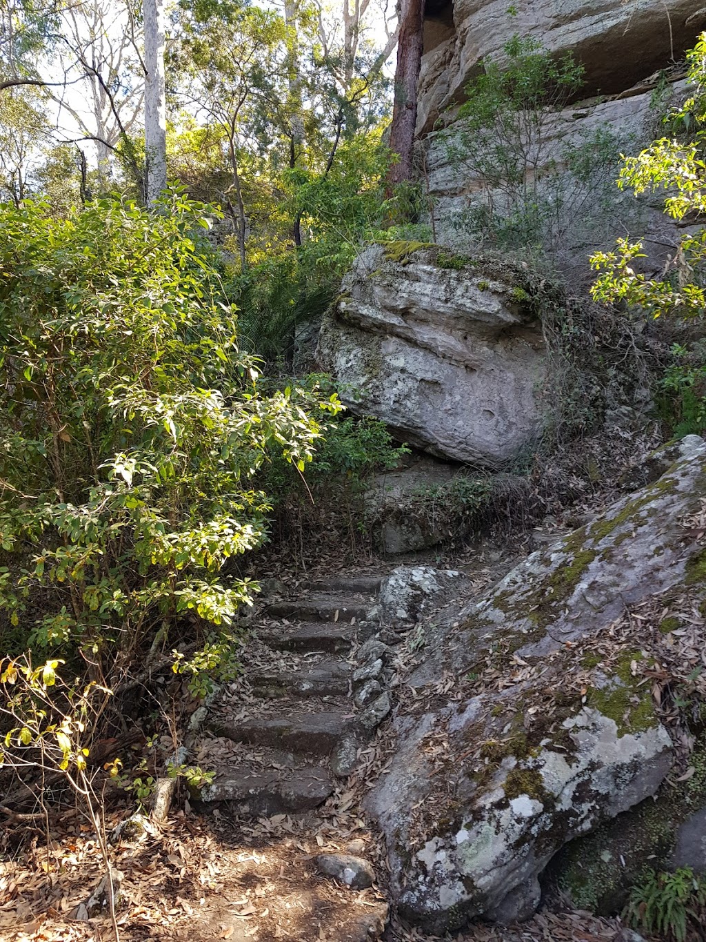 Large Rock Lookout - Grotto Walking Track | park | North Nowra NSW 2541, Australia