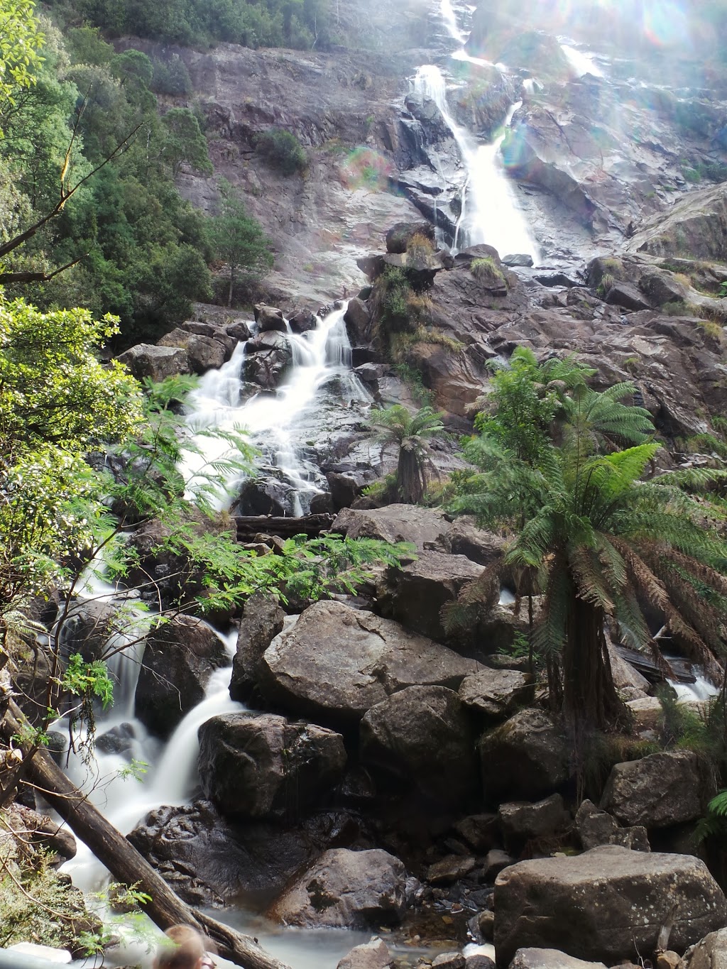 Mount Victoria Forest Reserve | park | Tasmania, Australia