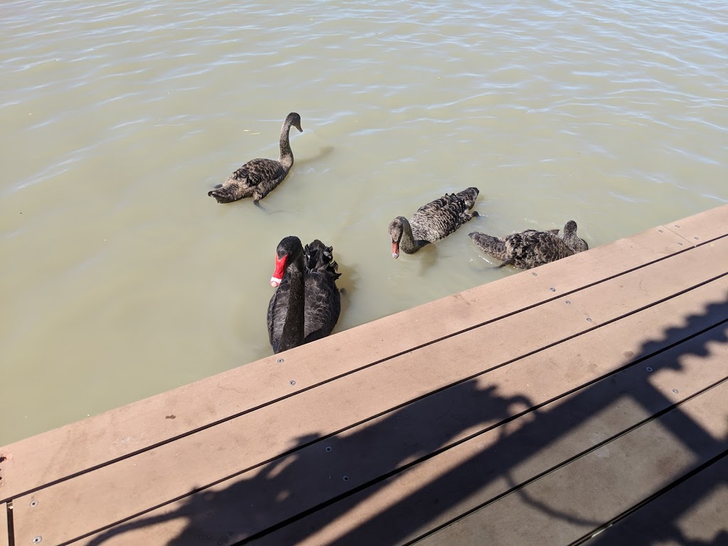 River Wren Houseboats | Jervois Rd, Murray Bridge SA 5253, Australia | Phone: (08) 8532 1986