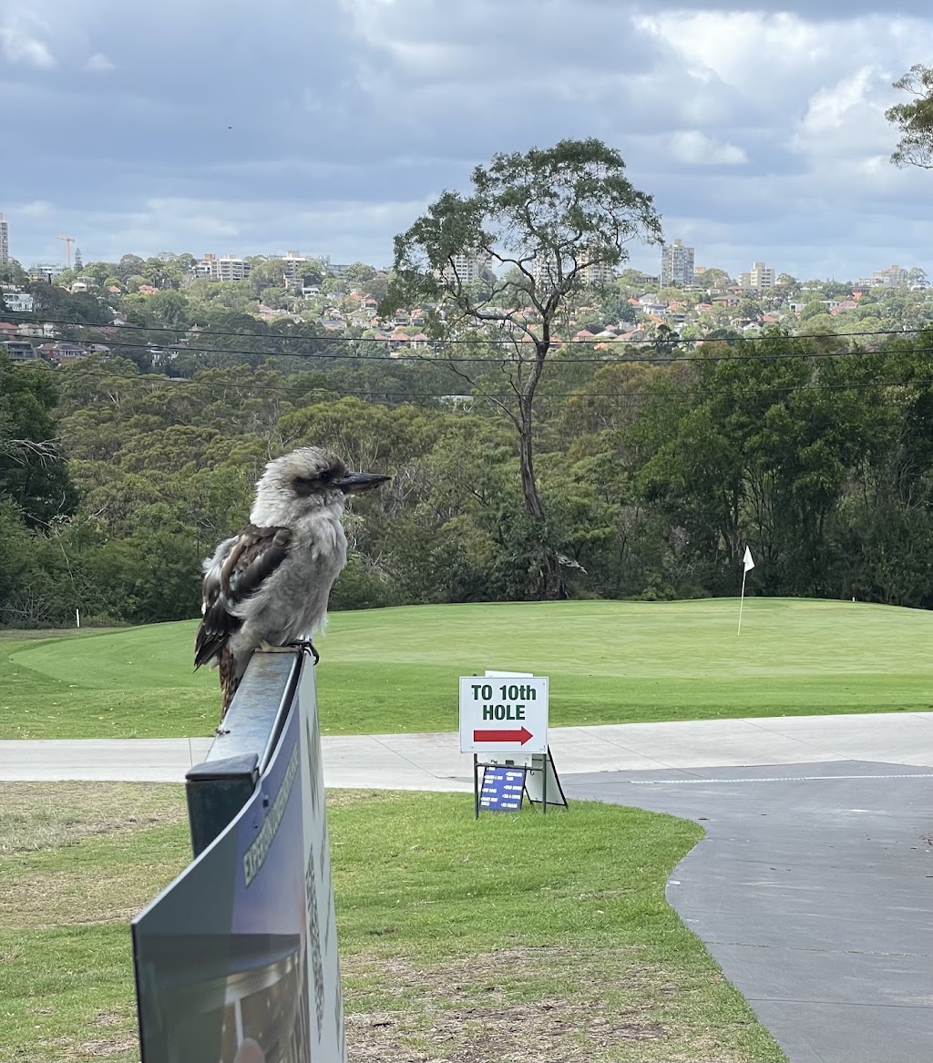 Northbridge Golf Club | 296C Sailors Bay Rd, Northbridge NSW 2063, Australia | Phone: (02) 9958 6900