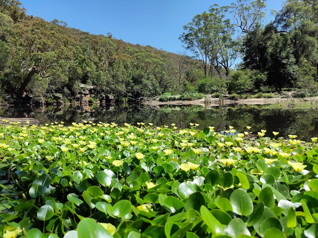 Wattle Forest | Royal National Park NSW 2233, Australia | Phone: (02) 9542 0648