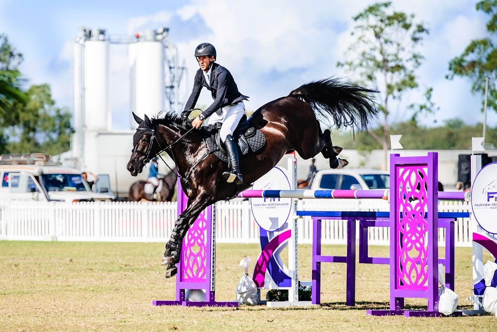 Riverton Performance Horses | 40 Bobs Range Rd, Orangeville NSW 2570, Australia | Phone: 0408 333 659