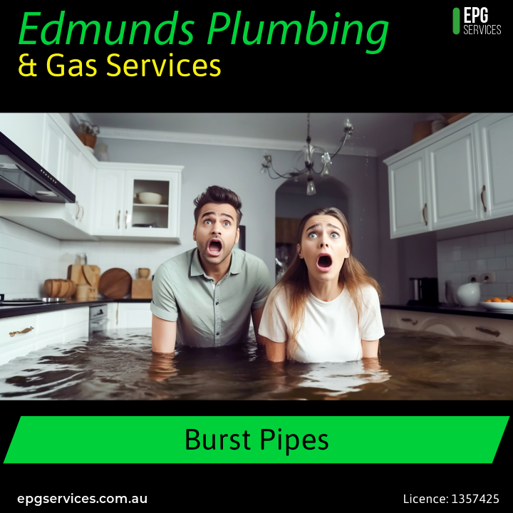 Edmunds Plumbing & Gas Services | 4 Porpoise Cl, Oakdowns TAS 7019, Australia | Phone: 0474 374 081