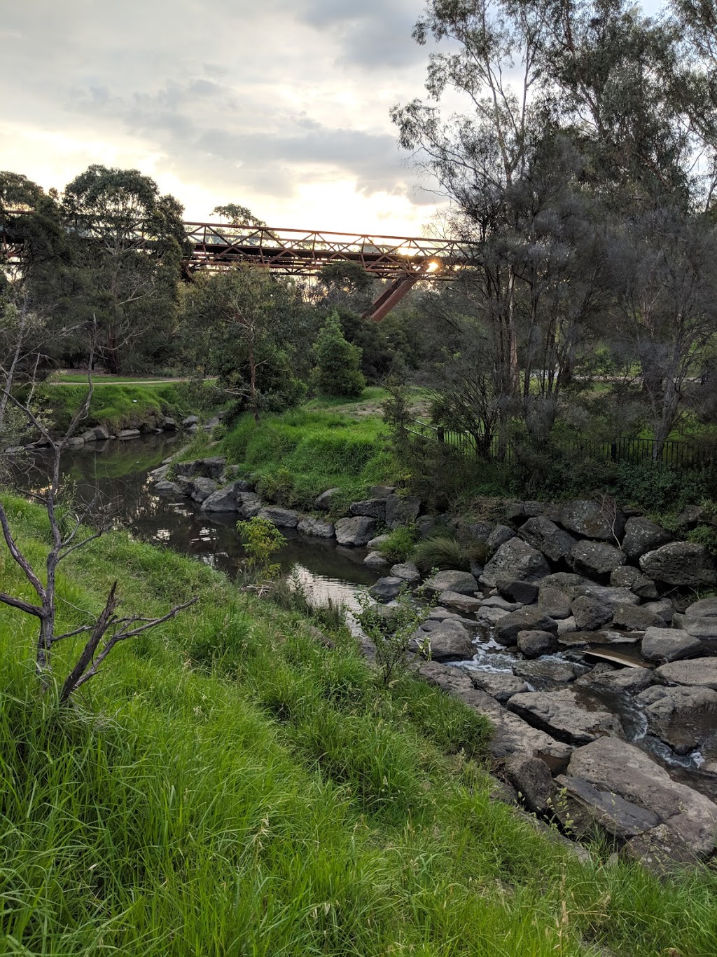 Gardiners Creek parkrun | Burwood VIC 3125, Australia