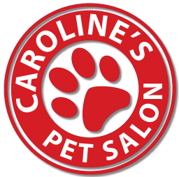 Carolines Pet Salon |  | 63 Turner Rd, Riordanvale QLD 4800, Australia | 0419029900 OR +61 419 029 900