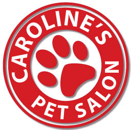 Carolines Pet Salon | 63 Turner Rd, Riordanvale QLD 4800, Australia | Phone: 0419 029 900