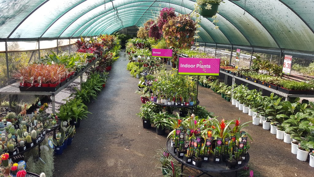 Plants Plus Cumberland Forest | store | 95 Castle Hill Rd, West Pennant Hills NSW 2125, Australia | 0298713222 OR +61 2 9871 3222