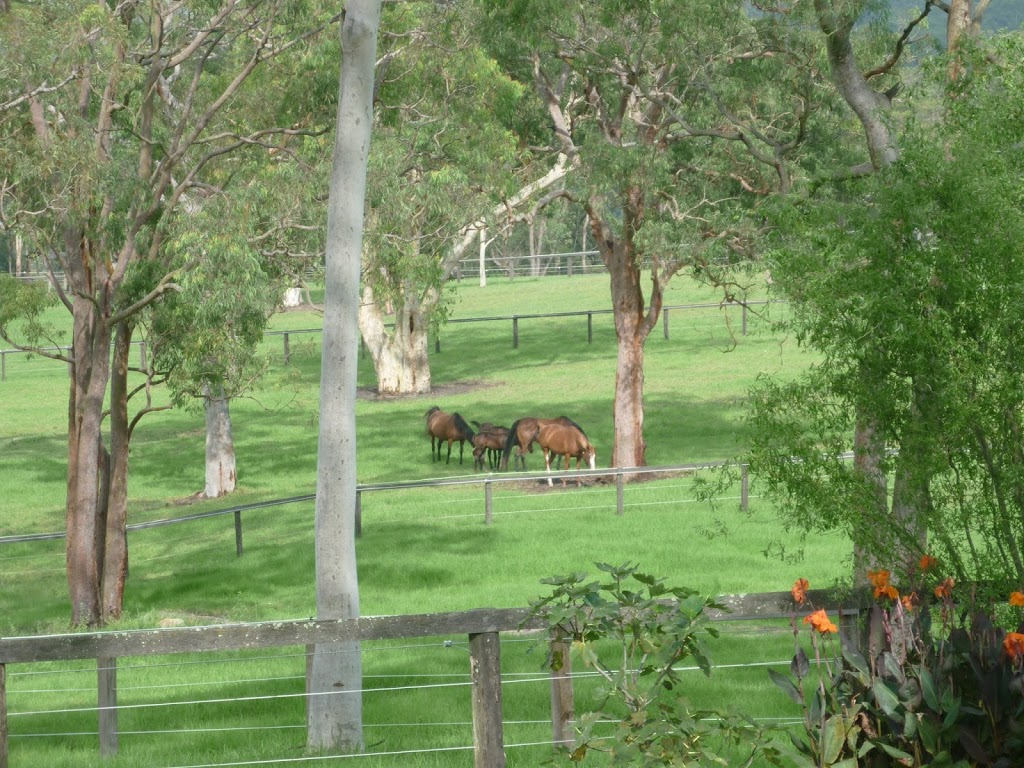 Bell Farm | 14 Bell Rd, Mangrove Mountain NSW 2250, Australia | Phone: 0408 750 748