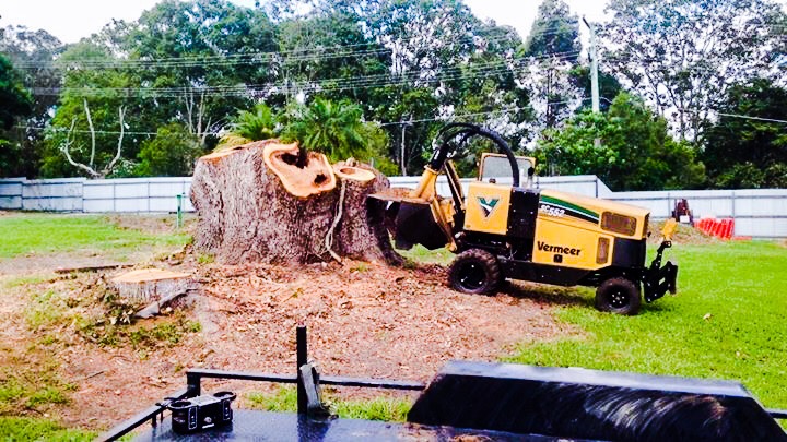 Extreme Stump Grinding | 124 Pub Ln, Greenbank QLD 4124, Australia | Phone: 0477 702 912