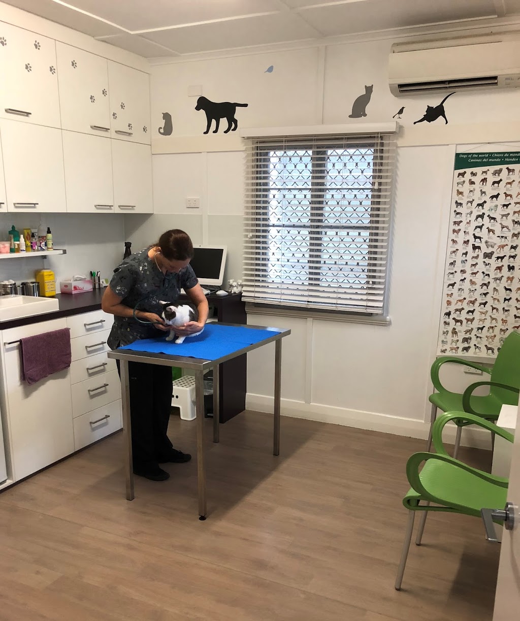 Wynnum Bayside Veterinary Surgery | veterinary care | 244 Preston Rd, Wynnum West QLD 4178, Australia | 0738930858 OR +61 7 3893 0858