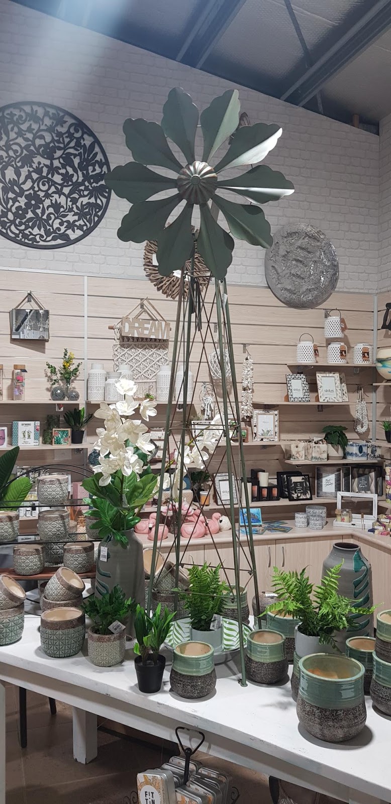 Plants Whitsunday | 1464 Shute Harbour Rd, Cannon Valley QLD 4800, Australia | Phone: (07) 4946 1258