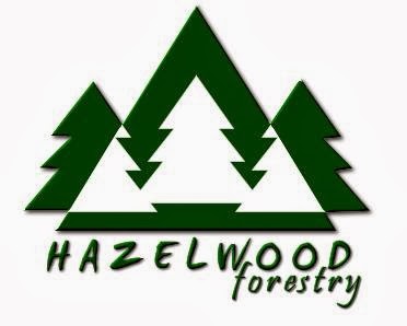 Hazelwood Forestry | Lot 1 Porters Rd, Hazelwood North VIC 3840, Australia | Phone: 0428 595 669