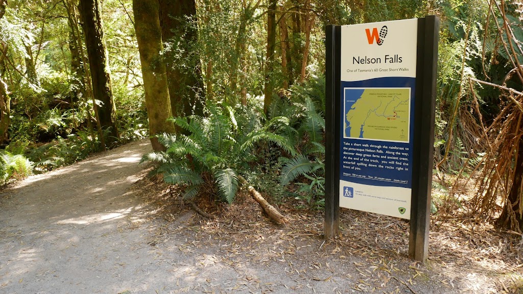 Nelson Falls | tourist attraction | Lyell Hwy, Queenstown TAS 7001, Australia | 1300827727 OR +61 1300 827 727
