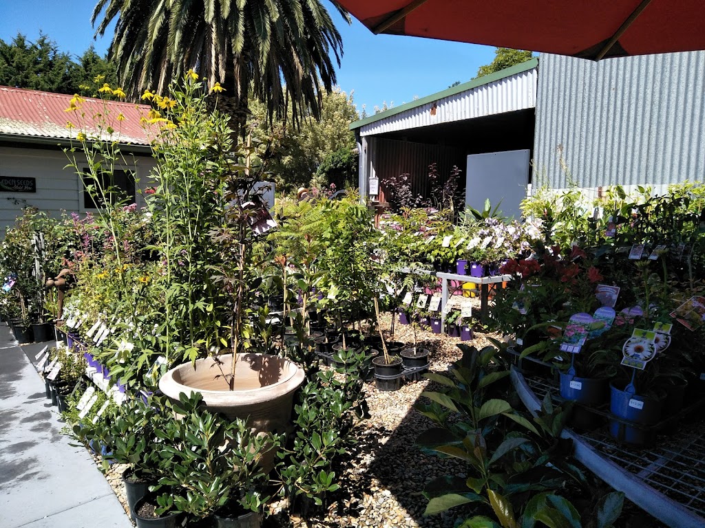 Pam’s Store Tilba Tilba | 266 Corkhill Dr, Tilba Tilba NSW 2546, Australia | Phone: 0402 171 450 Pam’s Store Tilba Tilba | 266 Corkhill Dr, Tilba Tilba NSW 2546, Australia | Phone: 0402 171 450