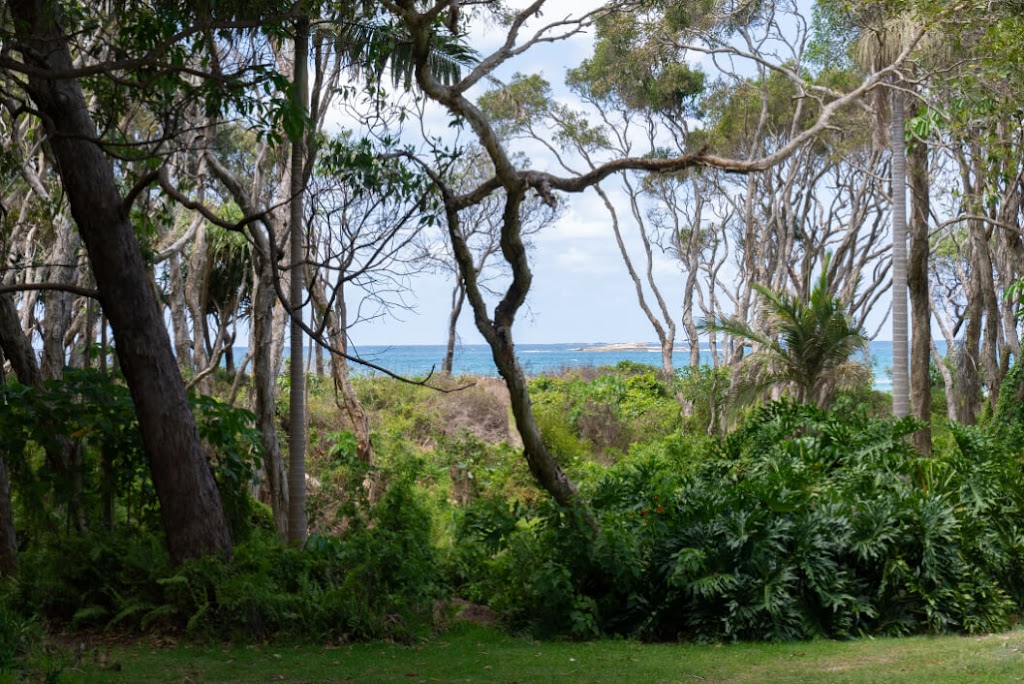 Driftwood on Home Beach | 130 Dickson Way, Point Lookout QLD 4183, Australia | Phone: 0418 859 564