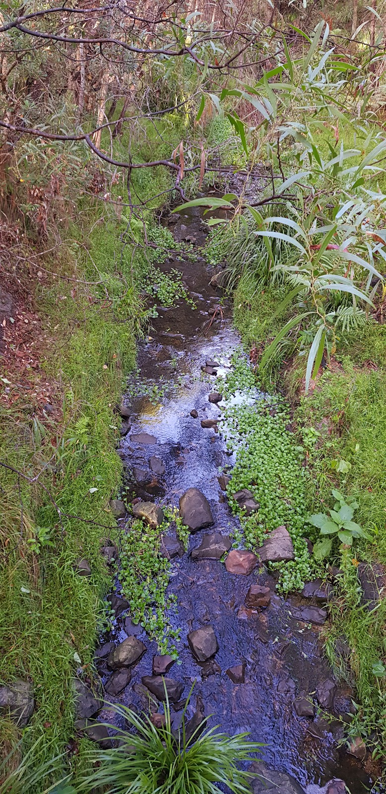 Brosnan Drive Park | Brosnan Drive Park, 28 Brosnan Dr, Capalaba QLD 4157, Australia | Phone: (07) 3829 8999