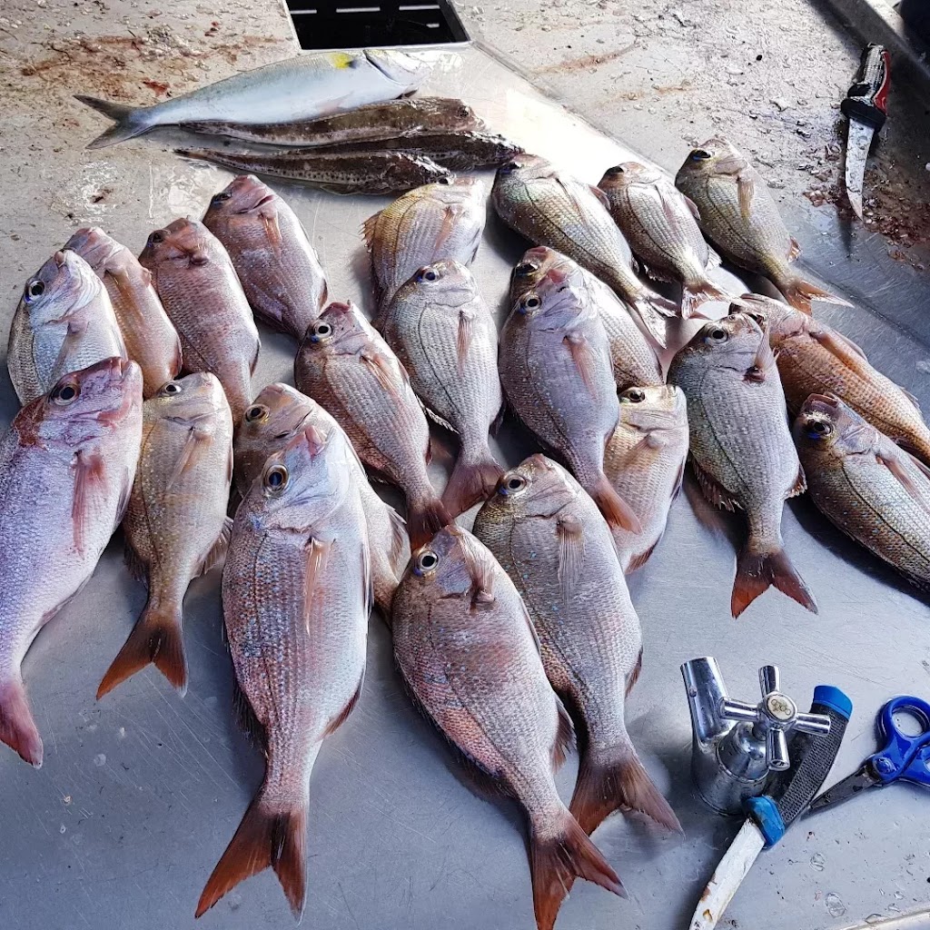 Twilight Fishing Charters | 34 The Strand, Williamstown VIC 3016, Australia | Phone: 0484 189 980