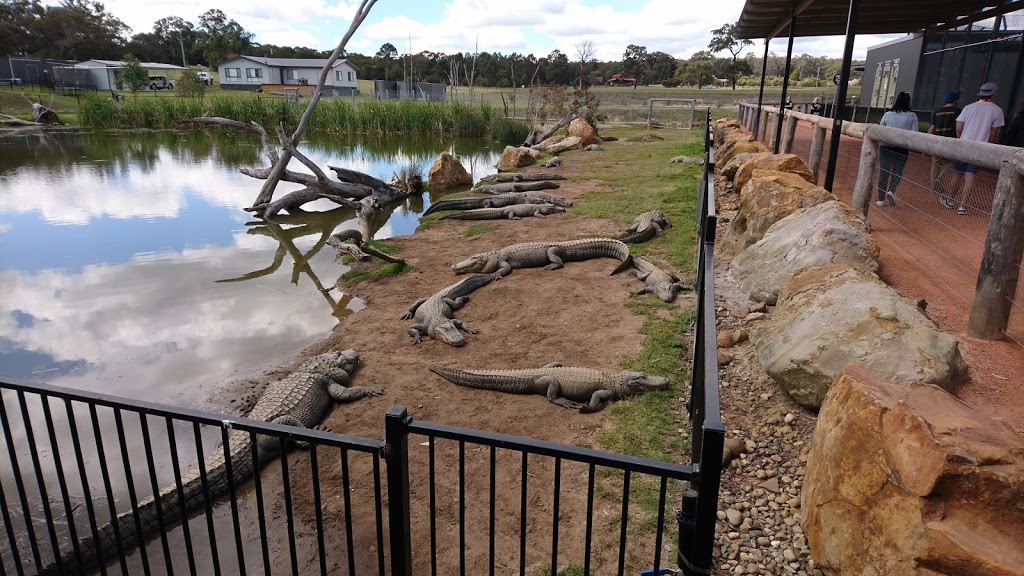 Hunter Valley Zoo | zoo | 138 Lomas Ln, Nulkaba NSW 2325, Australia | 0249907714 OR +61 2 4990 7714